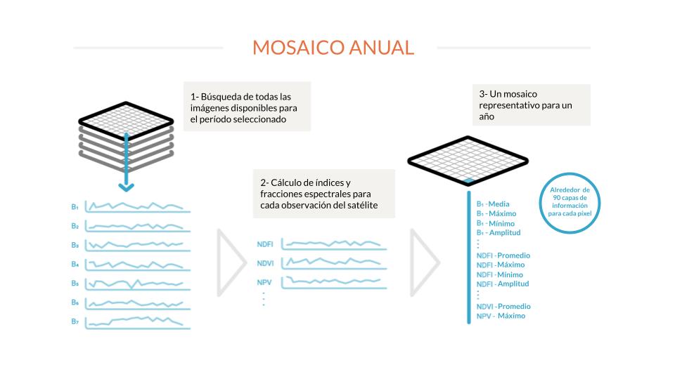 MapBiomas Chaco