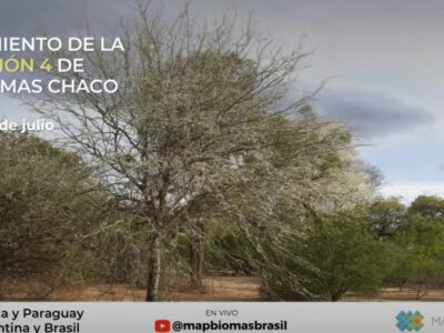 Acceda al video de la Colección 4.0 de MapBiomas Chaco