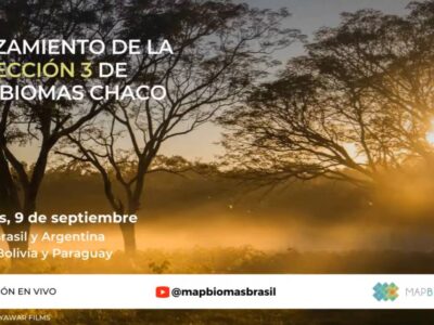 3er Lanzamiento de MapBiomas Chaco – Colección 3.0