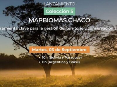 Lanzamiento Colección 5 MapBiomas Chaco